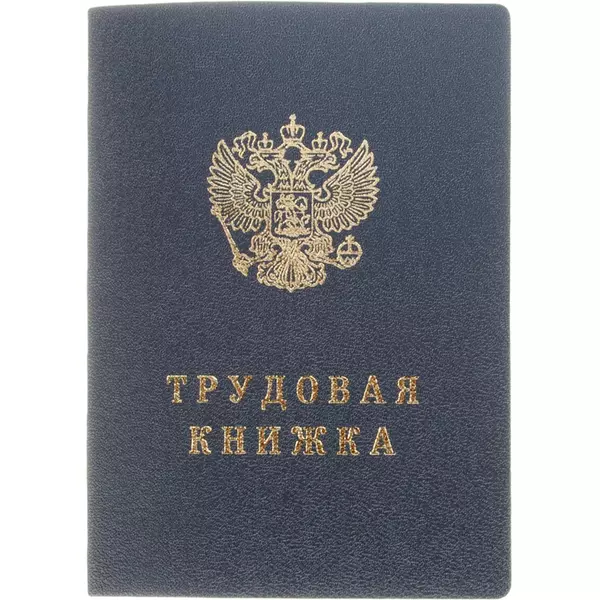 картинка Бланк Трудовая книжка нового образца 2023г