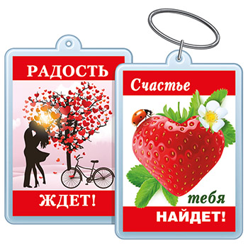 картинка Брелок для ключей " Хорошо " 614 Радость ждет/ Счастье тебе найдет! 40*55мм, двойной акриловый