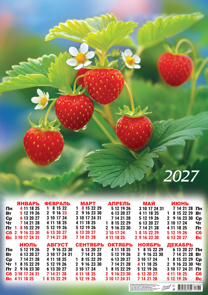 картинка Календарь Плакат А2 (2027) Ягоды. Клубника