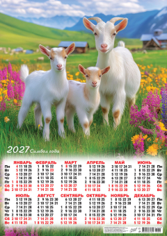 картинка Календарь Плакат А2 (2027) Символ года. Летний луг (фото)