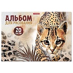 Альбом А4 20л жесткая подложка " Erich Krause " Wild Cat, склейка, обложка- мелованный картон, блок- офсет 120 г/м2, 1 дизайн в коробке
