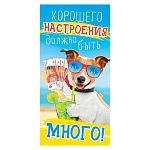 Конверт для денег " Мир открыток " 4-15 Хорошего настроения должно быть много! 168*83мм, без отделки