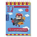 Головоломки " Айрис-пресс " 105*150мм 80стр Умный блокнот. 75 головоломок