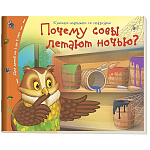 Книжка-малышка " Айрис-пресс " 130*105мм 16стр Почему совы летают ночью?