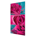 Открытка " Мир открыток " 2-04 Евро Поздравляем! Роза, пожелания 215*216мм, без отделки, текст