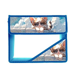 Папка " Пчелка " МАЛЫЙ ФОРМАТ А5-36 (230*190*50мм) на липучке 2отделения Ушастик в очках, клапан, с уголком, пластик