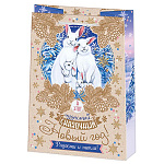 Пакет Новогодний бумажный " Мир открыток " 22*31*10см В этот чудесный, сказочный Новый год! ламинированный