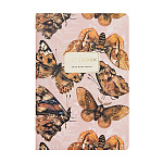 Тетрадь А5 40л " Bruno Visconti " Фауна. Волшебные бабочки, линия, сшивка, обложка- мелованный картон, матовая ламинация, soft-touch, тиснение фольгой, тонированный блок 70г/м2, вторая обложка с титульным листом, скругленные углы