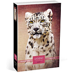 Пазлы " Hatber " 500элементов Premium Legend ZooArt-Снежный барс 33*48см, постер, подарочная картонная упаковка