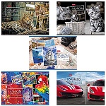 Альбом А4 48л " Hatber " Ассорти (ассорти), на скобе, обложка- мелованный картон, блок-офсет- 100г/м2, 1 дизайн в спайке, 5 дизайнов в спайке