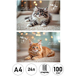 Альбом А4 24л спираль " Проф-Пресс " Милые котята, обложка- мелованный картон, матовая ламинация, выборочный лак, блок- офсет 100г/м2, 2 дизайна в спайке