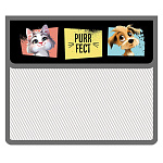 Папка " Пчелка " МАЛЫЙ ФОРМАТ А5-03 (230*190*50мм) на липучке Purrfect, клапан, без уголка, пластик