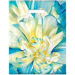 Пакет ПЭ " Интерпак " с вырубной ручкой ПВД, 30*37см 90мкм Молли