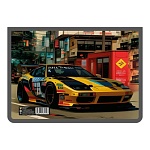 Папка " Пчелка " А4-29 (325*230*55мм) молния сверху Style racer, печать на пластике