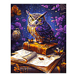 Картина по номерам " Lori " 40*50см Мудрая сова, состав набора: холст с контуром на подрамнике, краски, 3 кисти, вспомогательный лист, акриловый лак, крепления, инструкция, картонная упаковка, европодвес