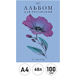 Альбом с пластиковой обложкой А4 48л " Hatber " Выпуск №2 (ассорти), скоба, блок- офсет 100г/м2, 1 дизайн в спайке, 5 дизайнов в коробке