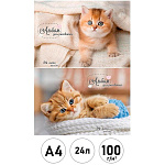 Альбом А4 24л " Проф-Пресс " Рыжие котики- 1, на скобе, обложка- мелованная бумага, блок- офсет 100г/м2, 2 дизайна в спайке
