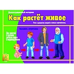 Демонстрационный материал " Как растет живое " для занятий в детских садах и индивидуально, рост и развитие людей и живых организмов, папка+ 12 карт