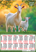Календарь Плакат А2 (2027) Символ года. На солнышке (фото)