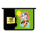 Папка " Пчелка " А4-29 (325*230*55мм) молния сверху Purrfect, печать на пластике