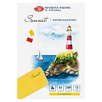 Альбом для акварели " Сонет " БОЛЬШОЙ ФОРМАТ А3 12л акварельная бумага, плотность - 200г/м2, яичная скорлупа, склейка