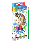 Карандаши цветные деревянные Trio 18цв " deVente " 2М трехгранные, картонная упаковка, европодвес