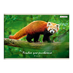 Альбом А4 30л " Эксмо " Красная панда, на скобе, обложка - мелованный картон, выборочный УФ-лак, блок- офсет 110г/м2
