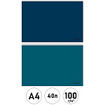 Альбом А4 40л " Проф-Пресс " Классика однотонная- 1, скоба, обложка- мелованный картон, блок- офсет 100г/м2, 2 дизайна в спайке