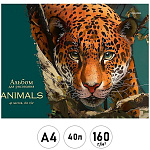 Альбом А4 40л " Проф-Пресс " Нарисованный хищник, склейка, обложка- мелованный картон, блок- офсет 160г/м2, 1 дизайн в коробке