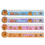 Линейка " Basir " Капибара 15см пластиковая, с рисунком, ассорти