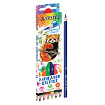 Карандаши цветные деревянные Trio 06цв " deVente " 2М трехгранные, картонная упаковка, европодвес