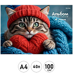 Альбом А4 40л " Проф-Пресс " Кот в шапке, склейка, обложка- мелованная бумага, блок- офсет 100г/м2, 1 дизайн в коробке