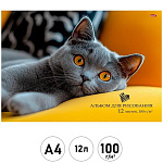 Альбом А4 12л " Проф-Пресс " Серый пушистый котик- 1, на скобе, обложка- мелованная бумага, блок- офсет 100г/м2, 1 дизайн в коробке