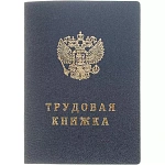 Бланк Трудовая книжка нового образца 2023г