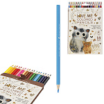 Карандаши цветные деревянные Love me. Котики. Счастье 18цв " Bruno Visconti " трехгранные, картонная упаковка, европодвес