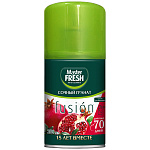 Запаска " Master Fresh " ЧЗ ОСУ 250мл Сочный гранат