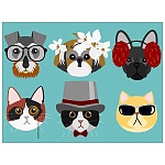 Картина по номерам " Рыжий кот " 30*40см Стильные коты и собаки, состав набора: 1 холст с эскизом на подрамнике, акриловые краски, 3 кисти, крепеж, картонная упаковка