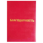 Папка адресная " Имидж " А4 бумвинил Благодарность, бордовая (пухлая)