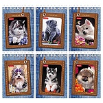 Блокнот 40л А7ф клетка Обложка мел.картон на гребне серия -Щенки-