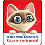 Магнит виниловый " Хорошо " 918 Ты мне очень нравишься, без отделки, 60х70мм