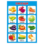 Плакат " Мир поздравлений " 409 А4 Овощи, мелованный картон 190г/м2, без отделки