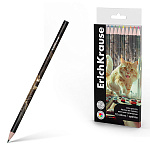 Карандаши цветные деревянные Big City Cats 12цв " Erich Krause " круглые, пластиковая упаковка, европодвес