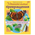 Обучающее пособие " Hatber " А5 8л Удивительные превращения- Как появляются живые организмы, на скобе, цветной блок