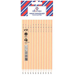 Набор карандашей ч/гр " Attomex " 12шт, 2В, В, НВ, Н, 2Н, шестигранный, цвет корпуса - желтый, пластиковая упаковка, европодвес