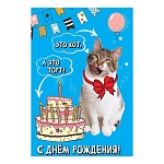 Открытка " Праздник " 410 Юмор- С Днем рождения! Это кот, а это торт! 126*182мм, без отделки, текст