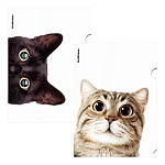 Папка-уголок " Erich Krause " А4 Hiding Cats, ассорти, пластик 0,16мм