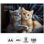 Альбом А4 48л спираль " Проф-Пресс " Объятия котят, обложка- мелованная бумага, блок- офсет 100г/м2, 1 дизайн в коробке