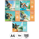 Альбом А4 16л " Hatber " Навстречу ветру (ассорти), на скобе, обложка- плотная офсетная бумага, блок-офсет- 100г/м2, 5 дизайнов в спайке