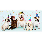 Конверт для денег " Миленд " 1-04 Без названия- Собачки, 164*85мм, без отделки