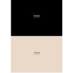 Альбом А4 32л " Проф-Пресс " Классика однотонная- 2, на скобе, обложка- мелованная бумага, блок- офсет 100г/м2, 2 дизайна в спайке